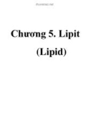 Bài giảng Hóa sinh - Chương 5: Lipit