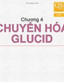 Bài giảng Hóa sinh – Chương 4: Chuyển hóa glucid