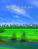 Bài giảng Hóa sinh: Chuyển hóa năng lượng sinh học - DSCKII. Nguyễn Văn Ảnh