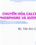 Bài giảng Chuyển hóa Calci, Phosphore và xương - BS. Trần Kim Cúc