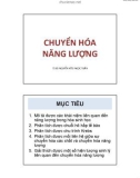 Bài giảng Chuyển hóa năng lượng - TS. BS Nguyễn Hữu Ngọc Tuấn