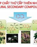 Bài giảng Hợp chất thứ cấp thiên nhiên - Chương 1: Giới thiệu tổng quan về hợp chất thứ cấp thiên nhiên