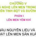 CÔNG NGHỆ LÊN MEN TRONG CHẾ BIẾN TINH BỘT VÀ ĐƯỜNG