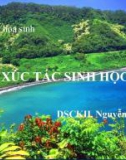 Bài giảng Hóa sinh: Xúc tác sinh học - DSCKII. Nguyễn Văn Ảnh