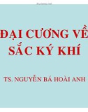 Đại cương về sắc ký khí