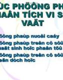 Bài thuyết trình: Các phương pháp phân tích vi sinh vật