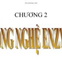 Bài giảng Chương 2: Công nghệ Enzyme