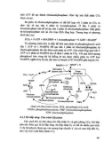 Giáo trình hóa sinh thực vật part 4
