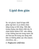 Lipid đơn giản