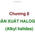 Bài giảng Hóa hữu cơ: Chương 8 - Dẫn xuất halogen (Alkyl halides)