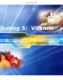 Bài giảng Sinh hoá cơ sở: Vitamin - PGS.TS. Ngô Đại Nghiệp và TS. Nguyễn Thị Hồng Thương