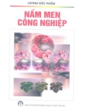 Tìm hiểu Nấm men công nghiệp: Phần 1