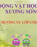 Bài giảng Động vật học có xương sống: Chương 6 - Lớp chim