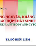 Chương V: Kháng nguyên, kháng thể và các hợp chất sinh học