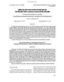 Ảnh hưởng của tuổi và kích cỡ đến khả năng sinh sản của tôm chân trắng (Litopenaeus vannamei) bố mẹ sạch bệnh