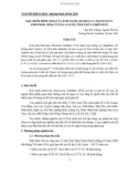 Đặc điểm hình thái của ếch xanh Odorrana Chloronota (Günther, 1876) ở vùng A Lưới, tỉnh Thừa Thiên Huế