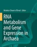 Ebook RNA metabolism and Gene expression in Archaea