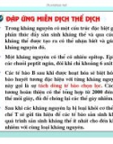 Điều hòa gene hệ miễn dịch ở động vật có xương sống part 6