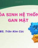 Bài giảng Hóa sinh hệ thống gan mật - BS. Trần Kim Cúc