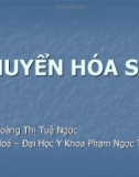 Bài giảng Chuyển hóa sắt - ThS. BS.Hoàng Thị Tuệ Ngọc