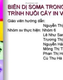 BIẾN DỊ SOMA TRONG QUÁ TRÌNH NUÔI CẤY IN VITRO