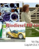 Nhiên liệu sinh học - Biodiesel từ tảo