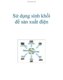 Sử dụng sinh khối để sản xuất điện