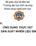 Ứng dụng thực vật trong sản xuất nhiên liệu sinh học