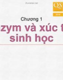 Bài giảng Hóa sinh – Chương 1: Enzym và xúc tác sinh học