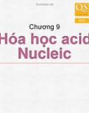 Bài giảng Hóa sinh - Chương 9: Hóa học acid nucleic