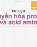 Bài giảng Hóa sinh – Chương 8: Chuyển hóa protein và acid amin