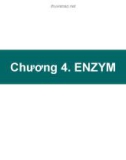 Bài giảng Hóa sinh và thí nghiệm hóa sinh: Chương 4 - Enzym