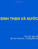 Bài giảng Hoá sinh thận và nước tiểu - ThS. BS. Ngô Thị Thu Hiền