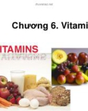 Bài giảng Hóa sinh và thí nghiệm hóa sinh: Chương 6 - Vitamin