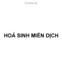 Bài giảng Hóa sinh động vật - Hoá sinh miễn dịch