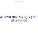 Bài giảng Hóa sinh động vật - Màng sinh học và sự vận chuyển qua màng