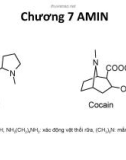 Bài giảng Hóa hữu cơ: Chương 7 - Amin