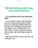 Mô hình điều hoà sinh tổng hợp prôtêin của gen