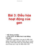 Bài 3: Điều hòa hoạt động của gen