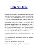 Gen cấu trúc