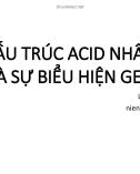 Bài giảng Cấu trúc acid nhân và sự biểu hiện gen - Lâm Vĩnh Niên