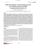 Nhân dòng, biểu hiện và tinh sạch chaperone AcrH của vi khuẩn Aeromonas hydrophila sử dụng vật chủ Escherichia coli