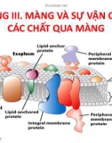 Bài giảng Hóa sinh động vật: Chương 3