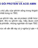 Bài giảng Hóa sinh động vật - Trao đổi protein và acid amin