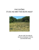 PHÚ DƯỠNG Ở CÁC HỆ SINH THÁI NƯỚC NGỌT