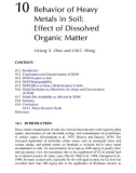 Geochemical and Hydrological Reactivity of Heavy Metals in Soils - Chapter 10