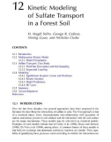 Geochemical and Hydrological Reactivity of Heavy Metals in Soils - Chapter 12