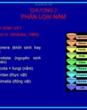 Bài giảng Sinh học và kỹ thuật trồng nấm - Chương 2: Phân loại nấm