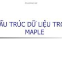 Bài giảng Maple: Bài 6 - Cấu trúc dữ liệu trong maple