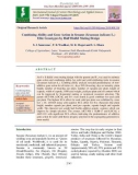 Combining ability and gene action in sesame (Sesamum indicum L.) elite genotypes by half diallel mating design